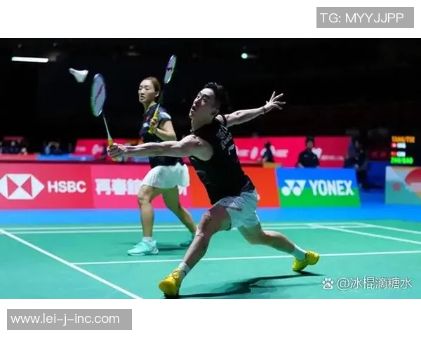 羽毛球战术揭秘:上海羽毛球队快攻策略的深度分析与实践探索 羽毛球战术揭秘:上海羽毛球队快攻策略的深度分析与实践探索