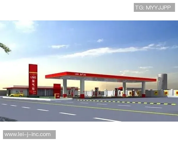 独家分析：LNG的灵活性对比