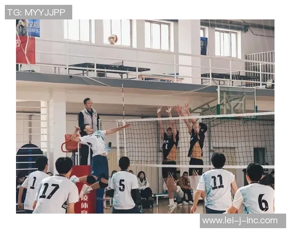 赛后复盘：成都排球队 vs 上海排球队的团队协作