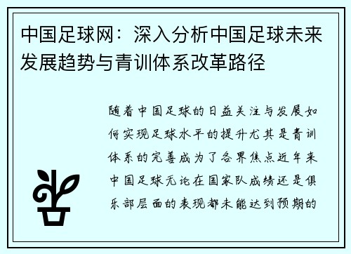 中国足球网：深入分析中国足球未来发展趋势与青训体系改革路径