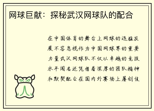 网球巨献：探秘武汉网球队的配合