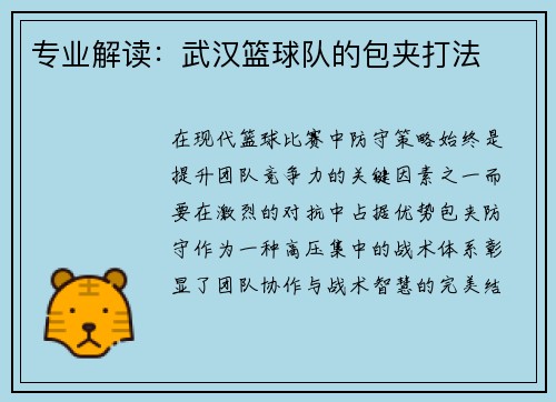 专业解读：武汉篮球队的包夹打法